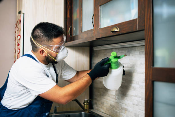 Best Bird Control  in Granite Bay, CA