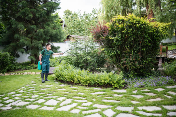Best Pest Prevention Services  in Granite Bay, CA