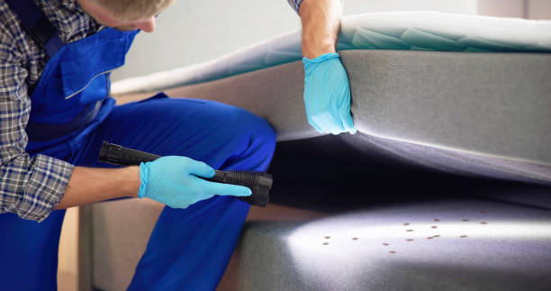 Best Pest Prevention Services  in Granite Bay, CA