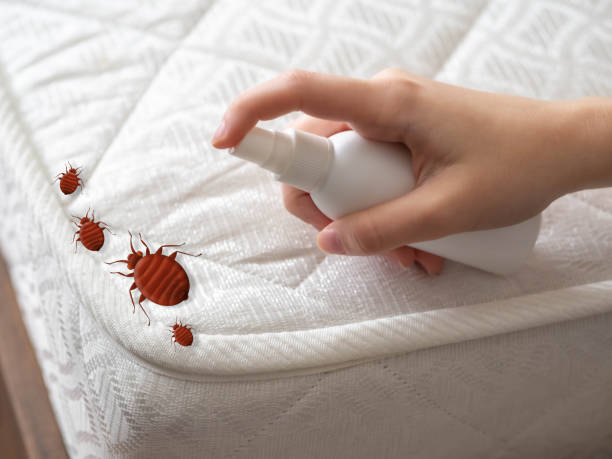 Best Best Pest Control Companies  in Granite Bay, CA