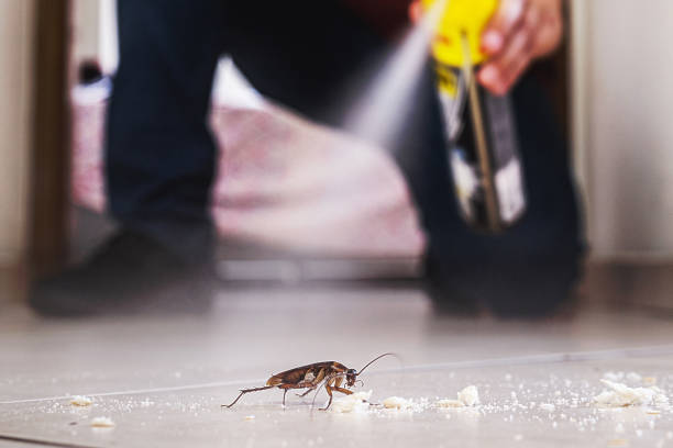 Best Local Pest Control Services  in Granite Bay, CA