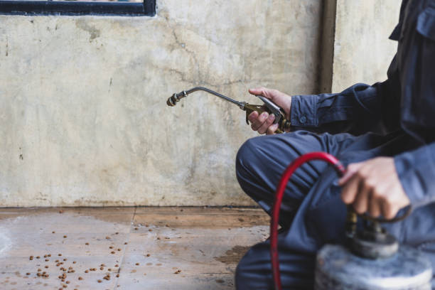 Best Exterminator Services  in Granite Bay, CA